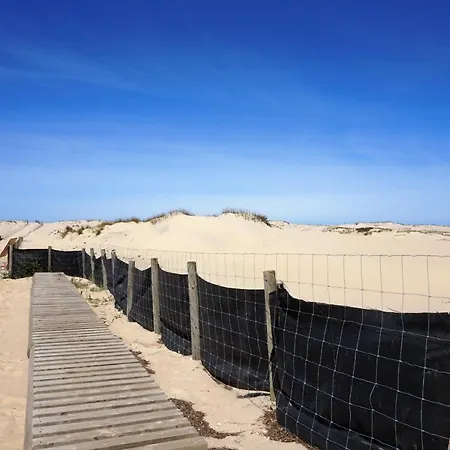14 Impasse Des Perlieres 015 Biscarrosse